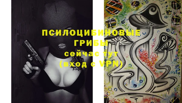 марки lsd Балабаново